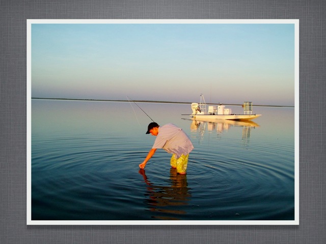 Loading Image