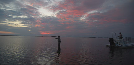 sunrise808