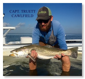 Photo of big speckled trout